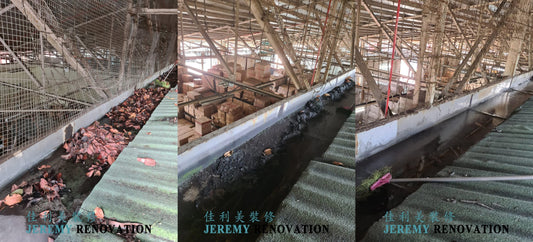 Rooftop Leakages Repair and Gutter Cleaning @ Depot Lane